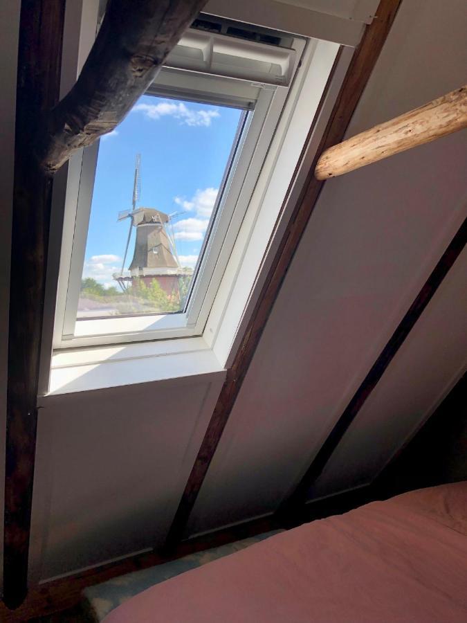 فيلا Tiny House De Smederij Peize المظهر الخارجي الصورة